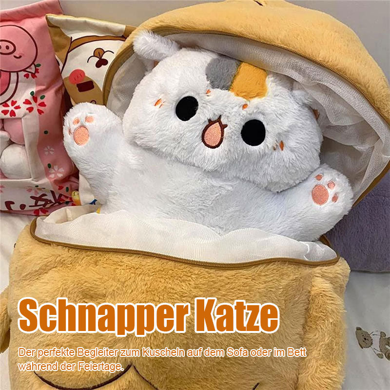 Katzen Die Schnapper Lieben