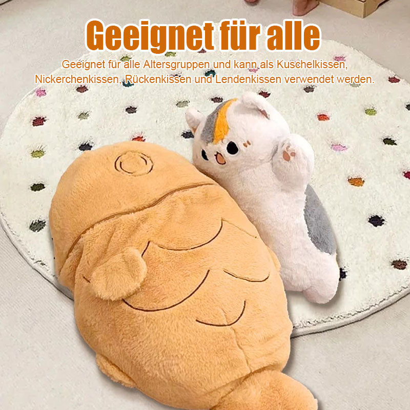 Katzen Die Schnapper Lieben